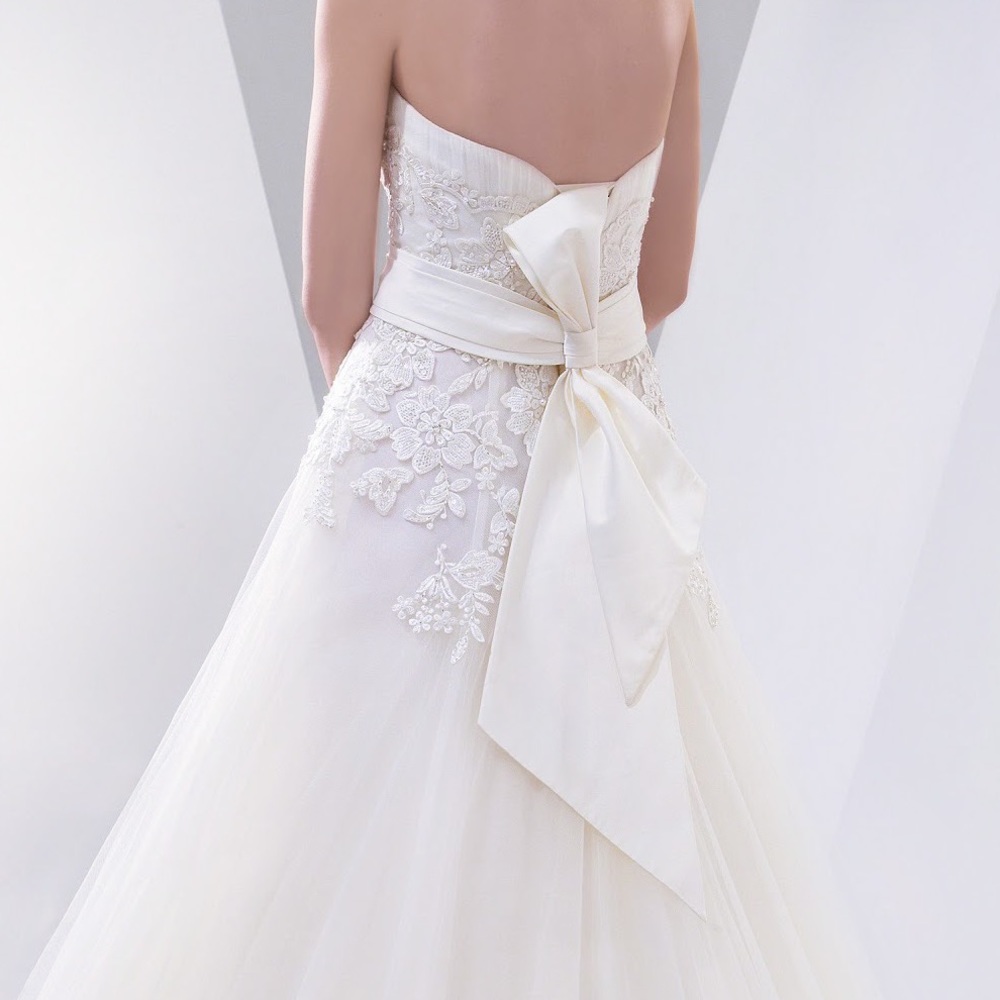 White Wedding Gown - Picture 8 of 10